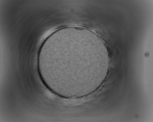 X0000102030005200808081823