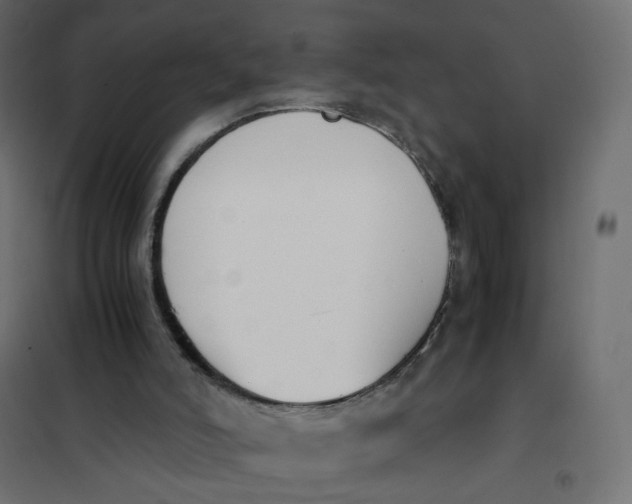 X0000102030006200808081823