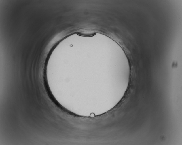 X0000102030007200808081822