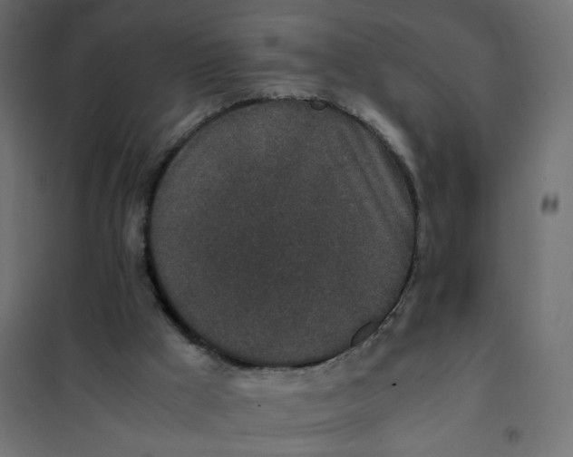 X0000102030009200808081822