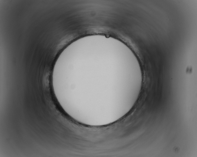 X0000102030010200808081822