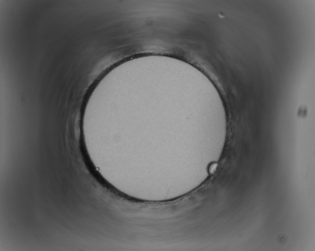 X0000102030011200808081822