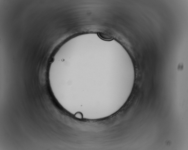 X0000102030012200808081822