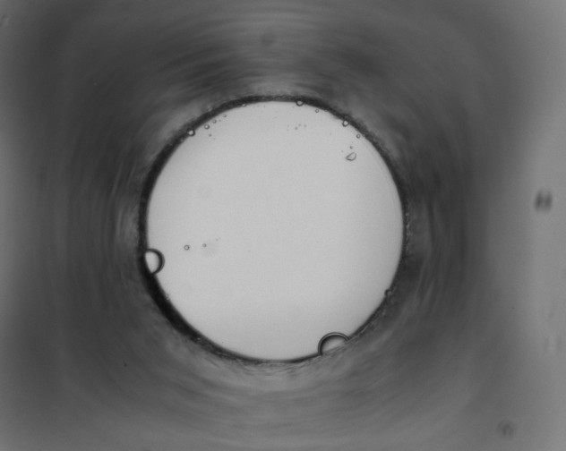 X0000102030015200808081822