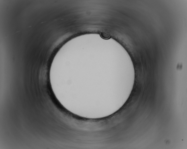 X0000102030016200808081822