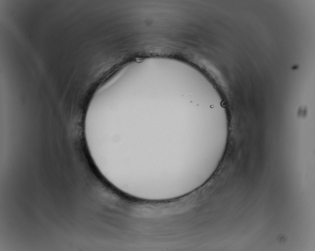 X0000102030017200808081822