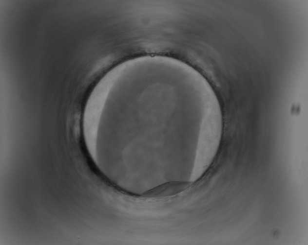 X0000102030019200808081822