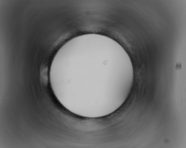 X0000102030020200808081822