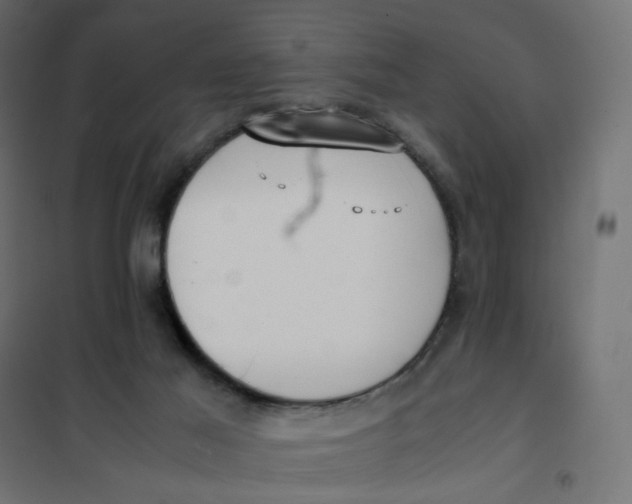 X0000102030021200808081822