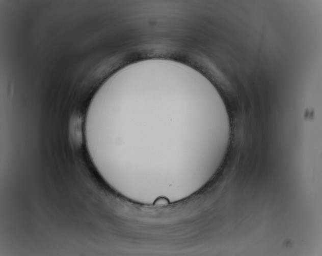 X0000102030022200808081822