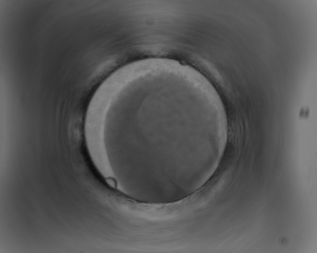 X0000102030023200808081822