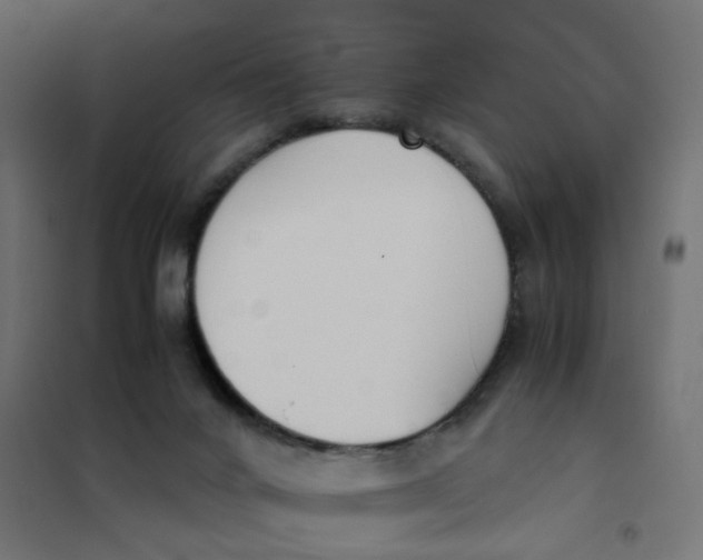 X0000102030024200808081822