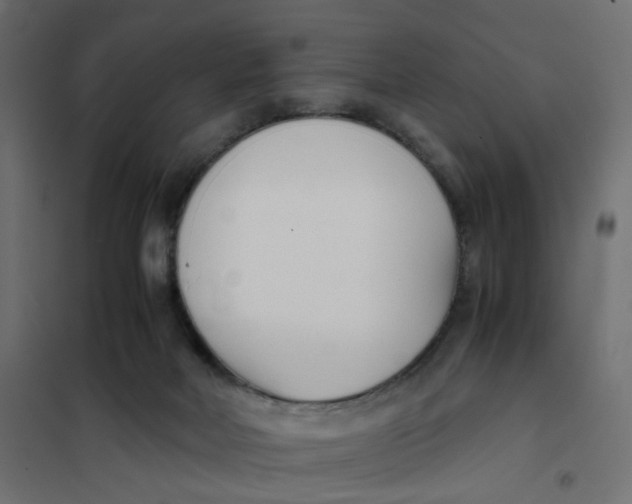 X0000102030026200808081822