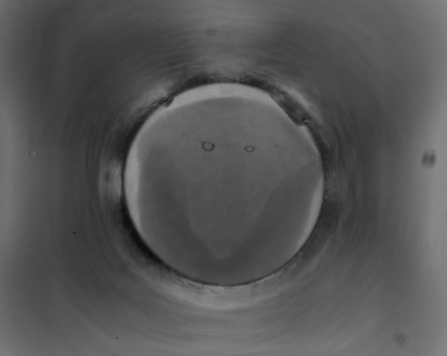 X0000102030027200808081822