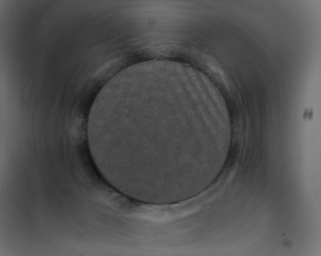 X0000102030029200808081822