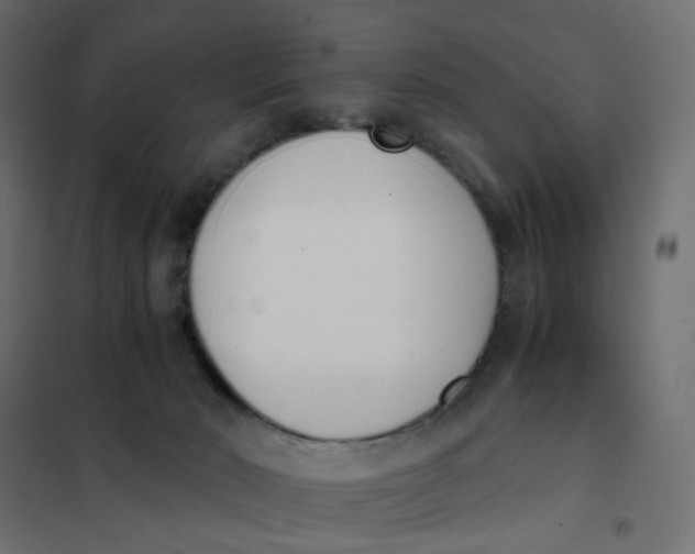 X0000102030030200808081822