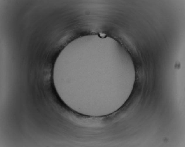 X0000102030032200808081822