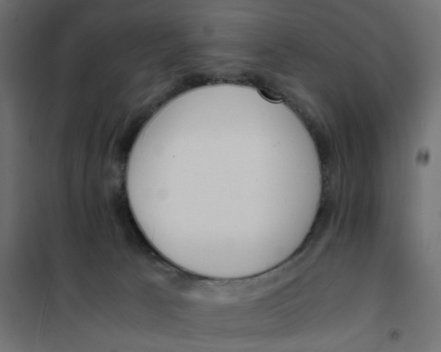 X0000102030033200808081822