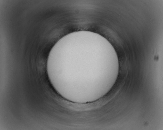 X0000102030034200808081822