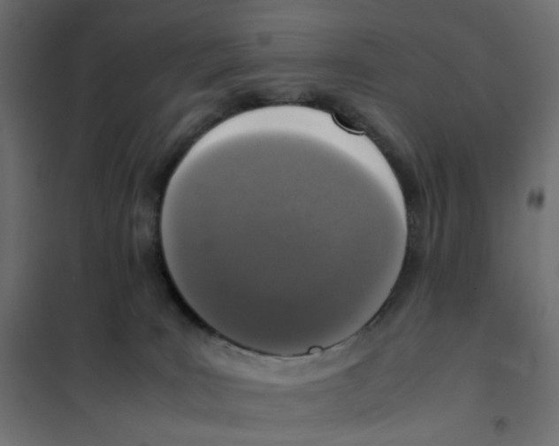 X0000102030035200808081822