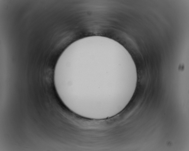 X0000102030036200808081822