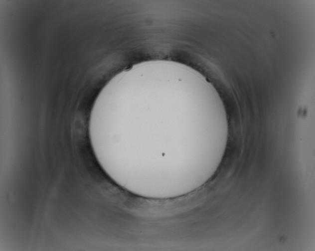 X0000102030037200808081822