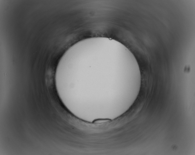 X0000102030038200808081822