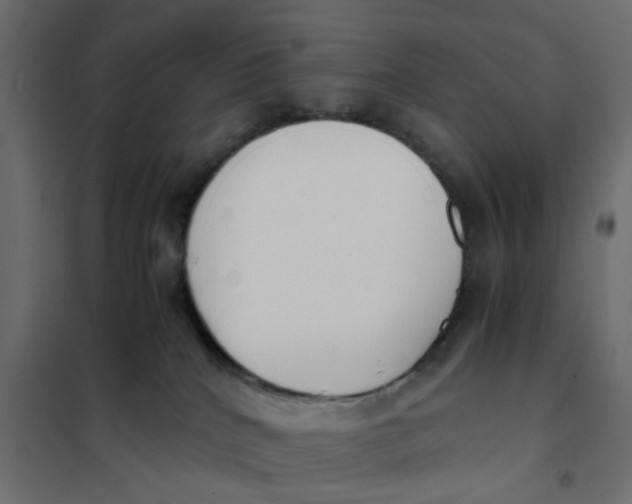 X0000102030040200808081822