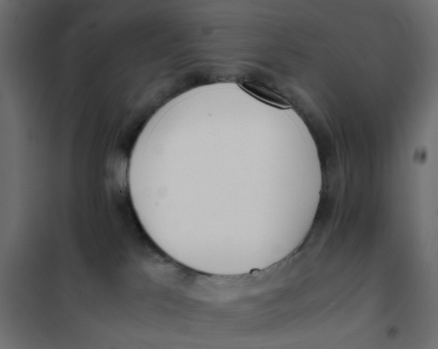 X0000102030041200808081822