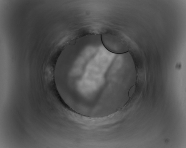 X0000102030043200808081822