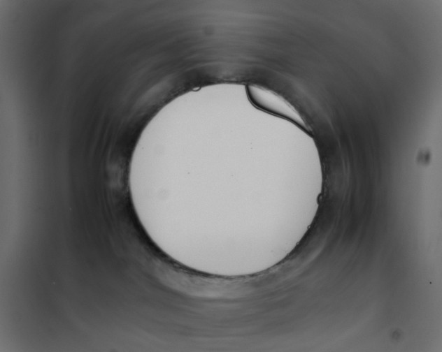 X0000102030044200808081822