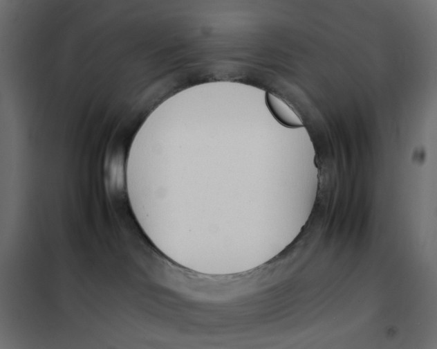 X0000102030046200808081822