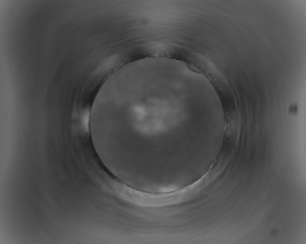 X0000102030047200808081822