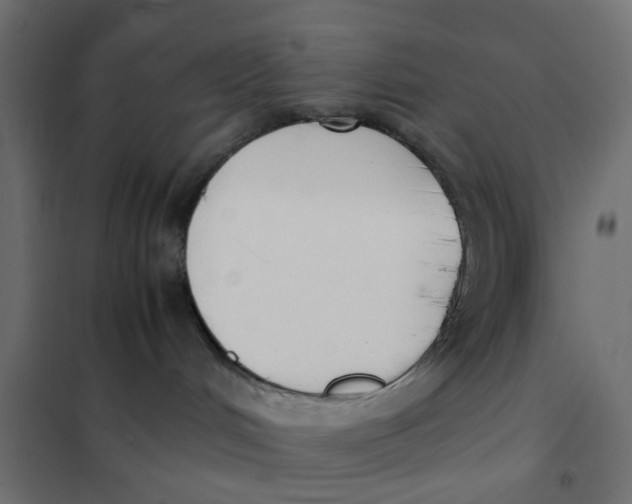 X0000102030048200808081822