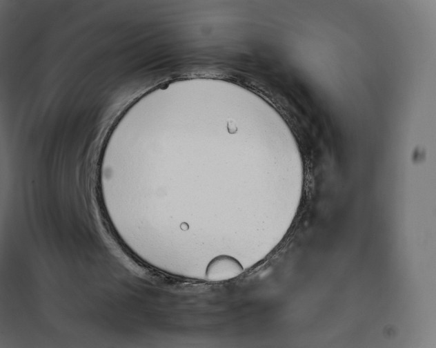 X0000102030049200808081821