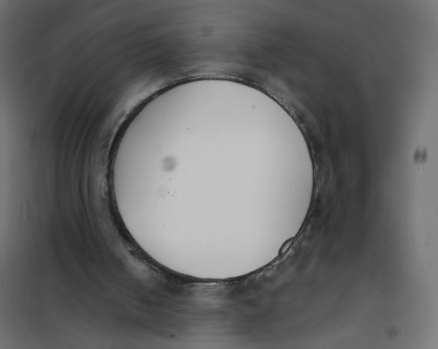 X0000102030050200808081821