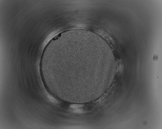 X0000102030051200808081821