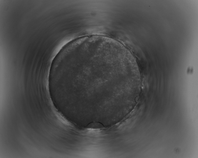 X0000102030052200808081821