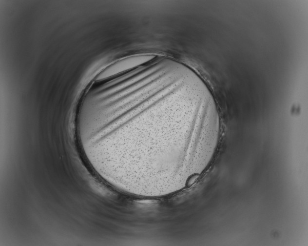 X0000102030053200808081821