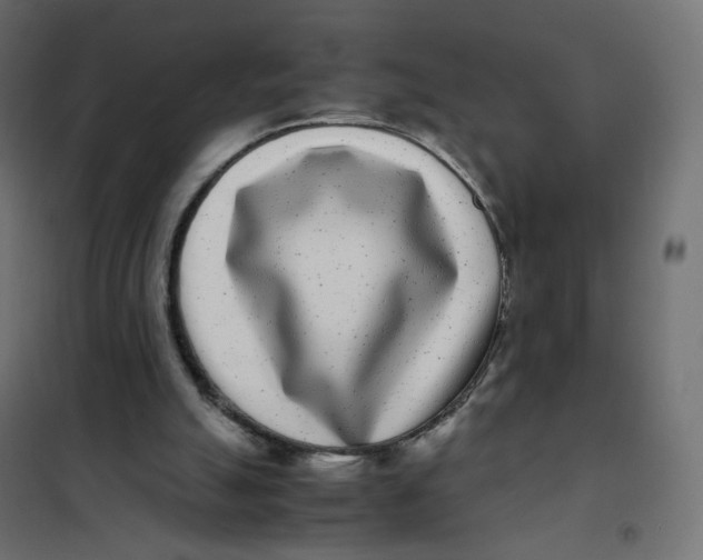 X0000102030055200808081821