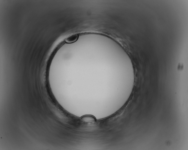 X0000102030056200808081821