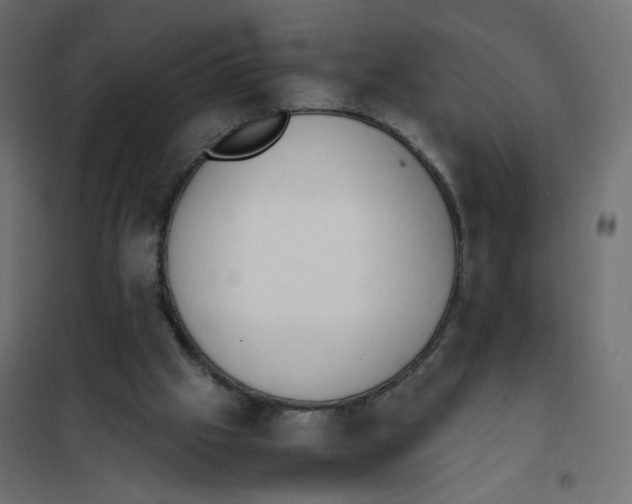 X0000102030057200808081821