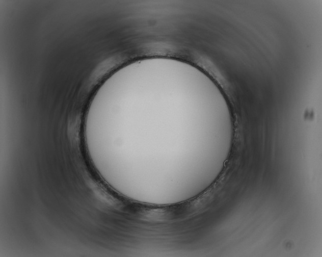 X0000102030058200808081821