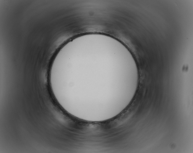 X0000102030060200808081821