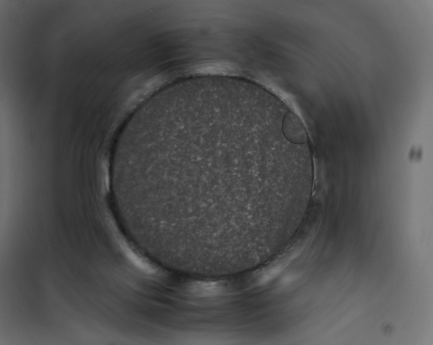 X0000102030061200808081821