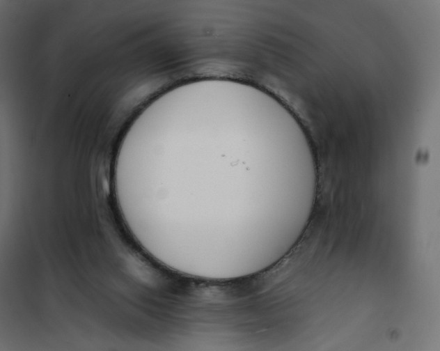 X0000102030062200808081821