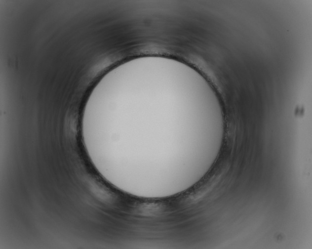 X0000102030063200808081821