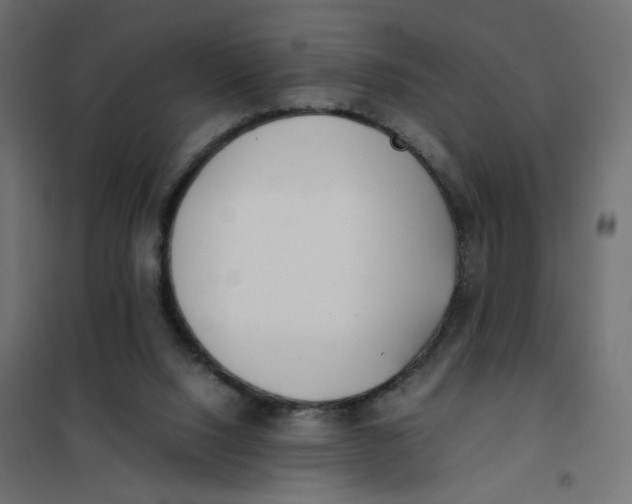 X0000102030064200808081821