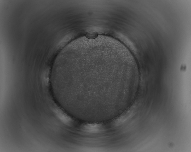 X0000102030065200808081821