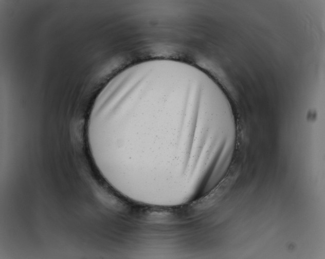 X0000102030066200808081821